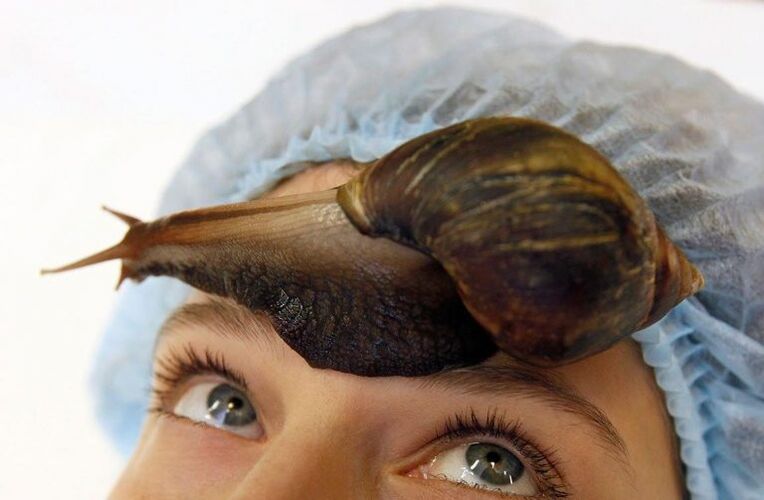 Αναζωογόνηση σαλιγκαριών